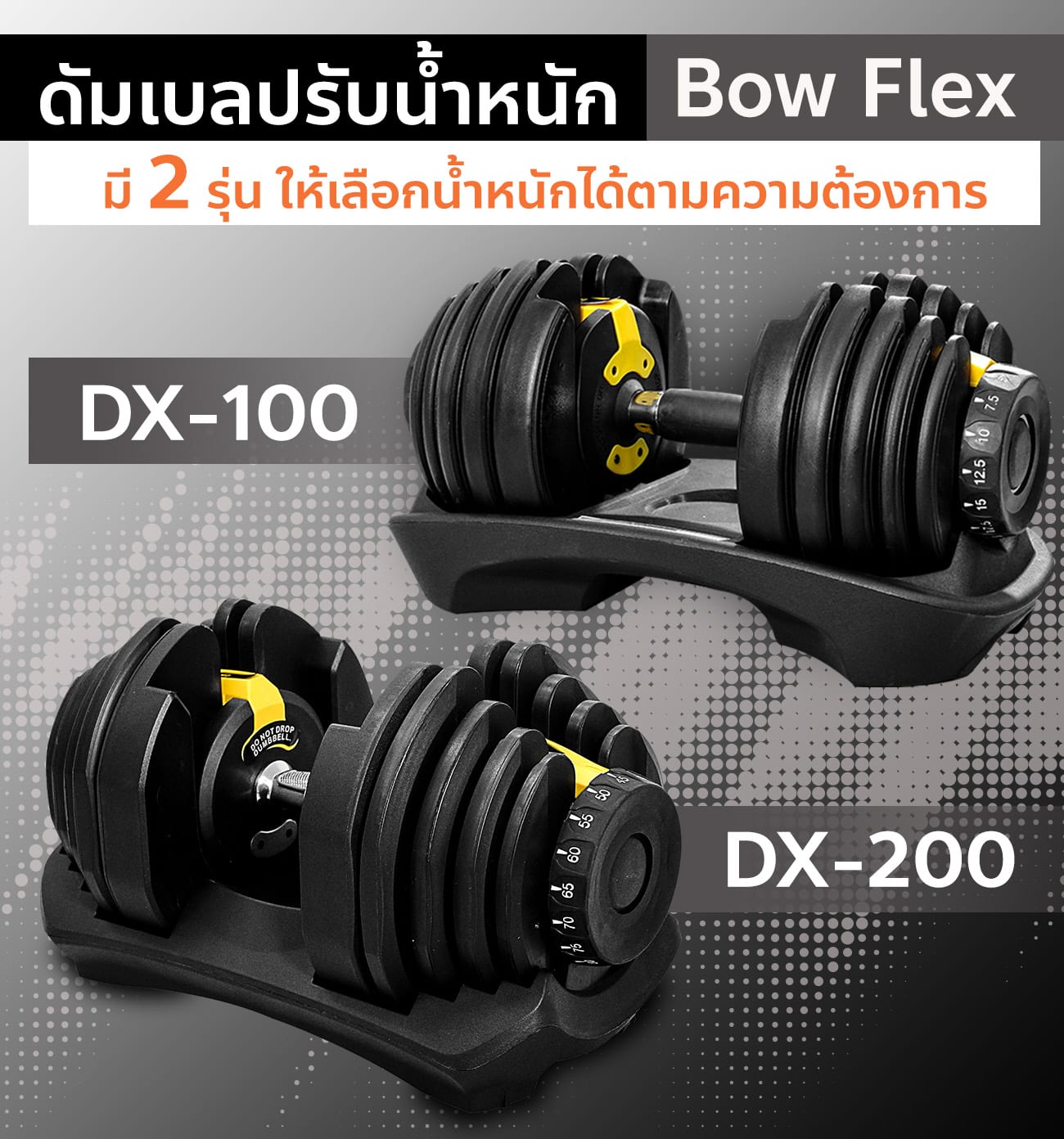 Body Max ศูนย์จำหน่าย ดัมเบล เก้าอี้ยกดัมเบล เวท ครบวงจร