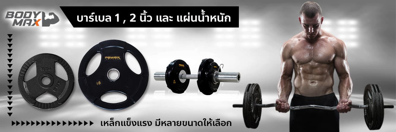 Body Max ศูนย์จำหน่าย ดัมเบล เก้าอี้ยกดัมเบล เวท ครบวงจร