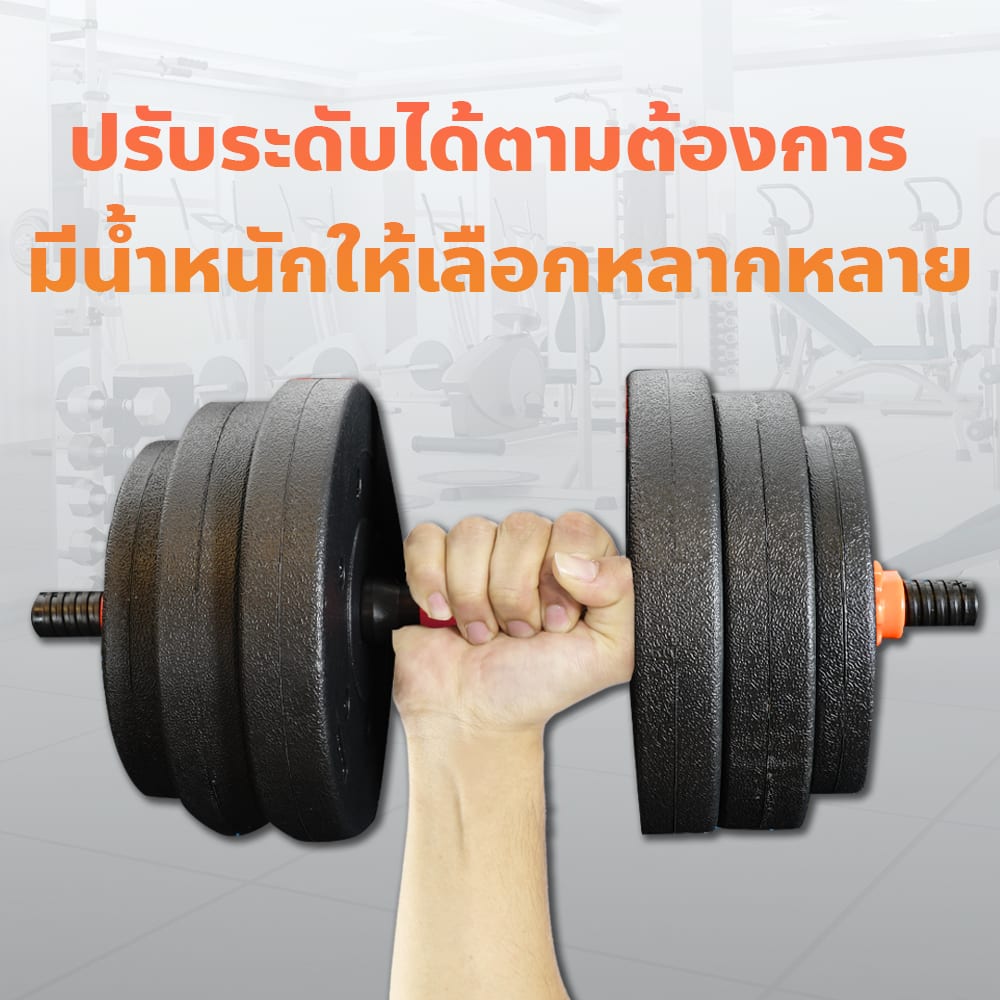 Body Max ศูนย์จำหน่าย ดัมเบล เก้าอี้ยกดัมเบล เวท ครบวงจร