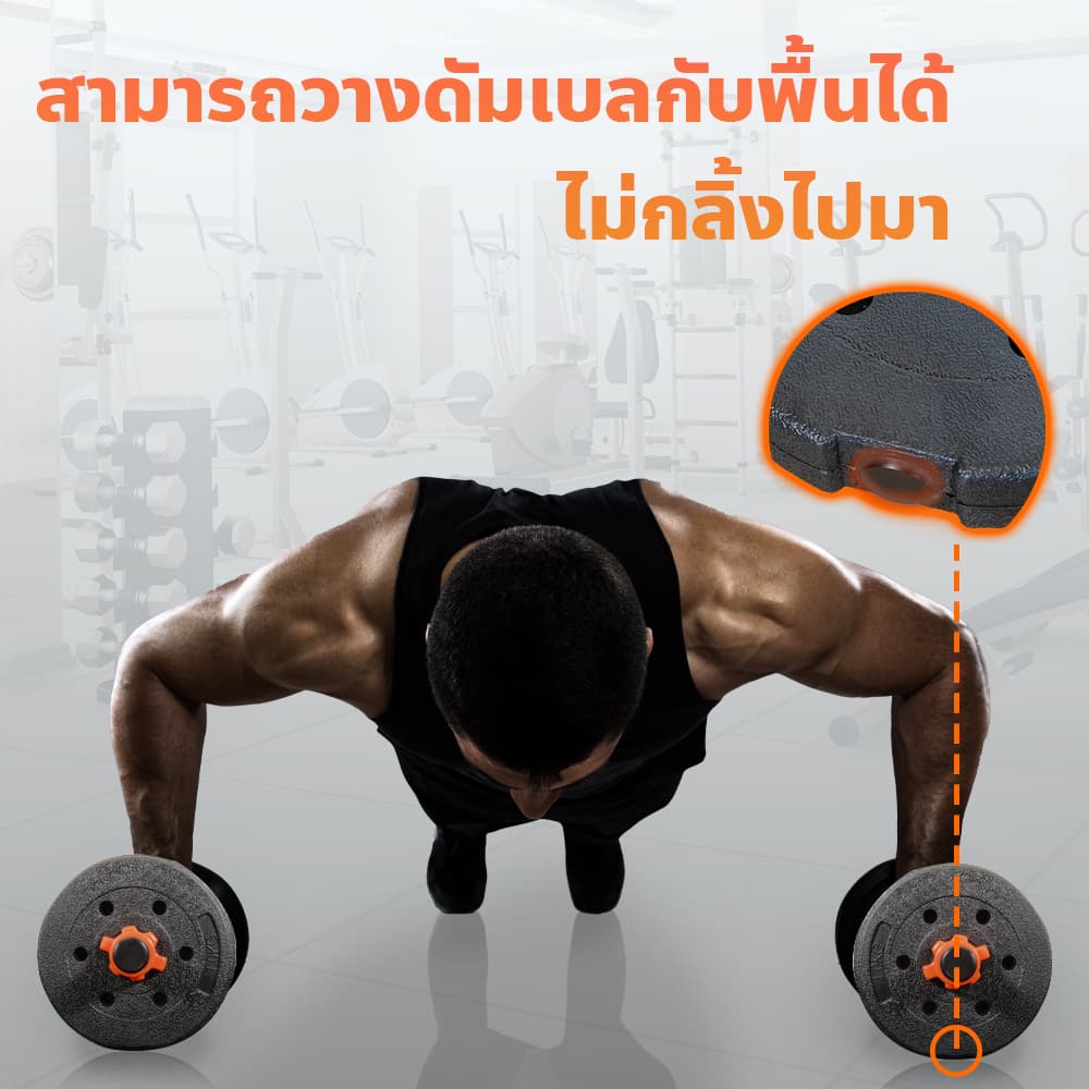 Body Max ศูนย์จำหน่าย ดัมเบล เก้าอี้ยกดัมเบล เวท ครบวงจร