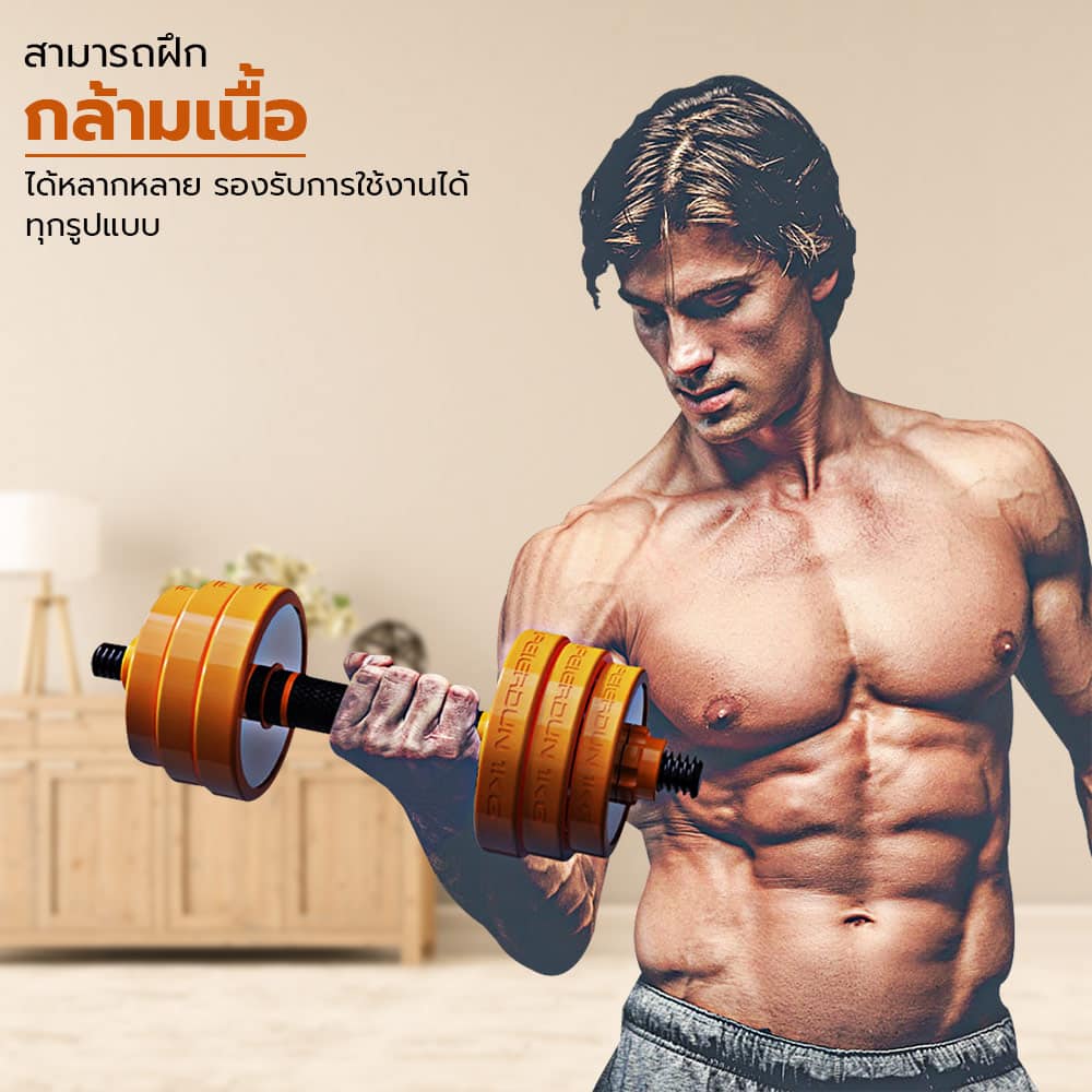 Body Max ศูนย์จำหน่าย ดัมเบล เก้าอี้ยกดัมเบล เวท ครบวงจร