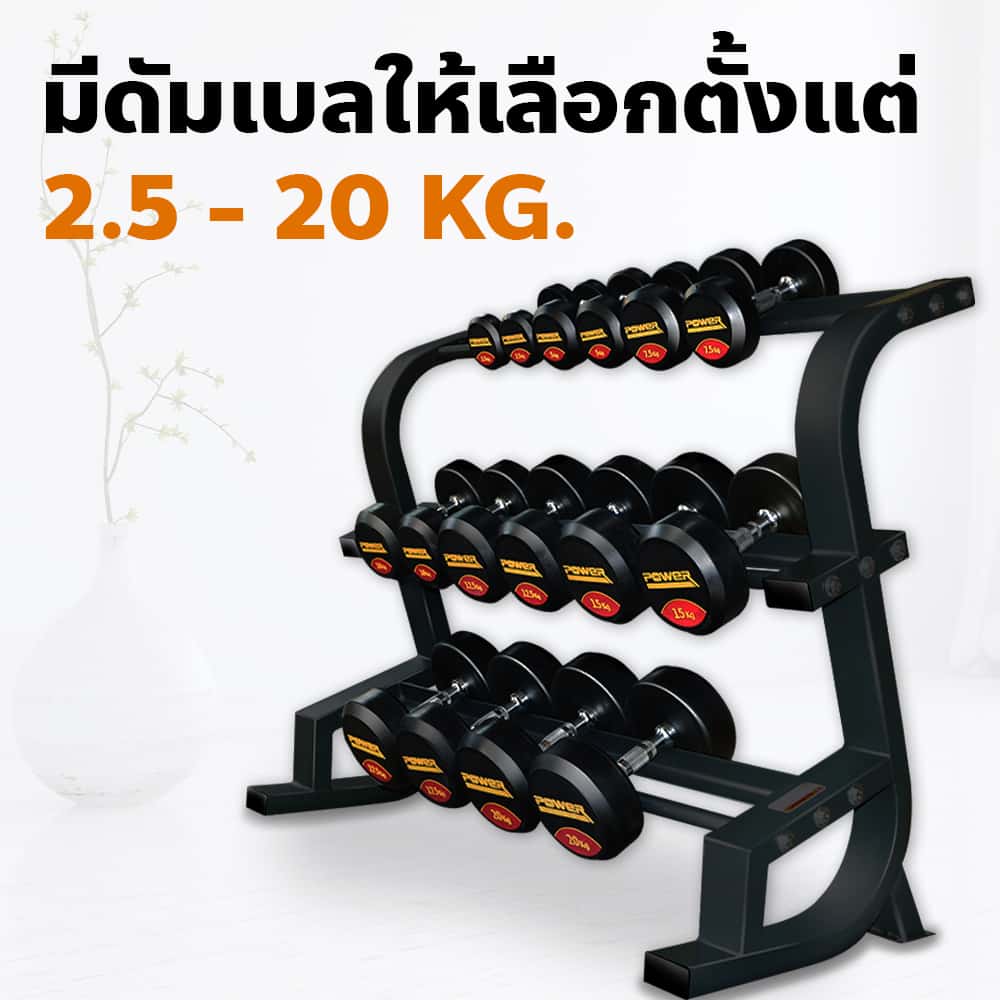 Body Max ศูนย์จำหน่าย ดัมเบล เก้าอี้ยกดัมเบล เวท ครบวงจร