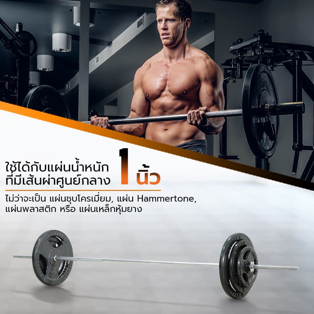 Body Max ศูนย์จำหน่าย ดัมเบล เก้าอี้ยกดัมเบล เวท ครบวงจร