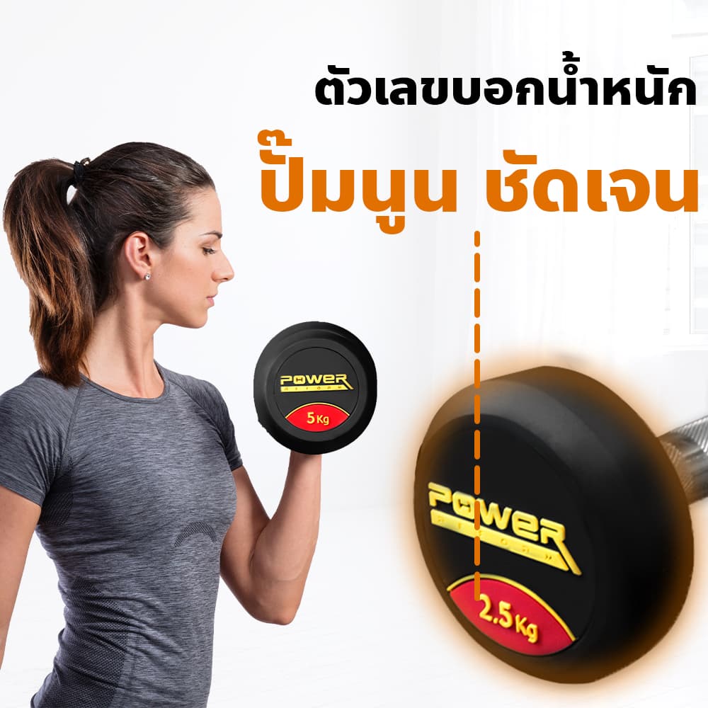 Body Max ศูนย์จำหน่าย ดัมเบล เก้าอี้ยกดัมเบล เวท ครบวงจร