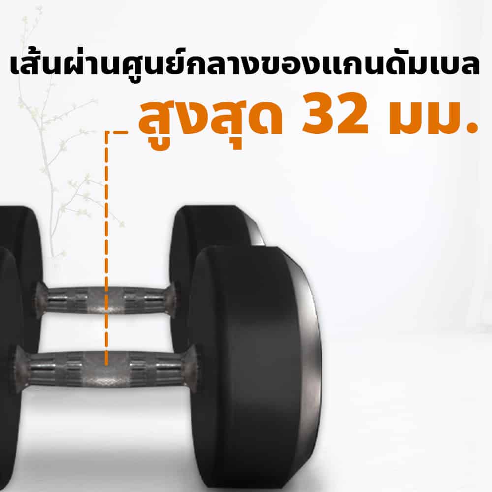 Body Max ศูนย์จำหน่าย ดัมเบล เก้าอี้ยกดัมเบล เวท ครบวงจร