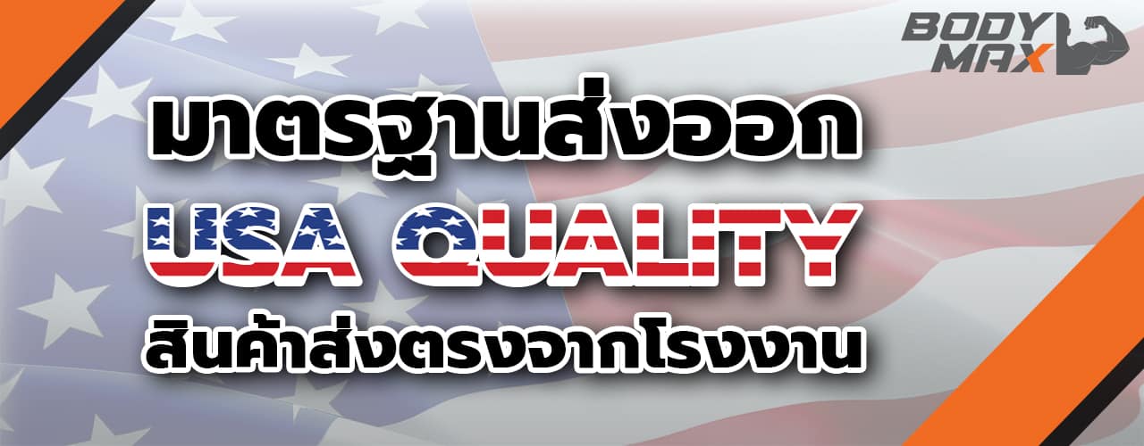 Body Max ศูนย์จำหน่าย ดัมเบล เก้าอี้ยกดัมเบล เวท ครบวงจร